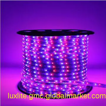 Green product garden Fluorescent Strip Lights