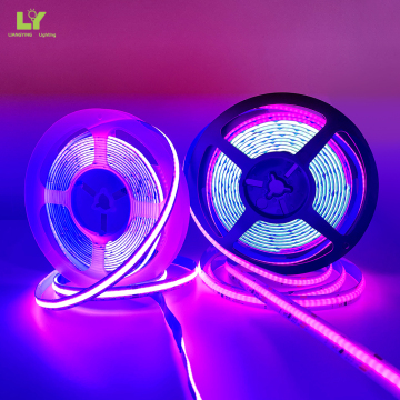 Commercial Dream Full Color RGBW DC12V 24V Smart LED Strip Lights