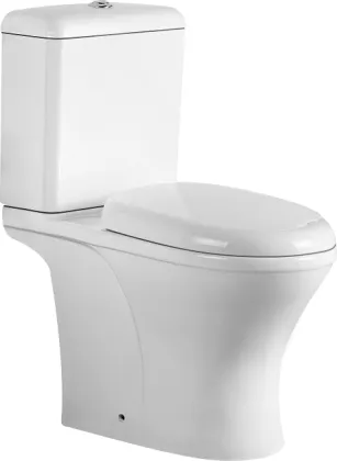 Comfort Height Ceramic Washdown Two-piece Toilet