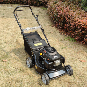 Gas Self-Propelled Commercial Lawn Reel Mower for California - Columbia