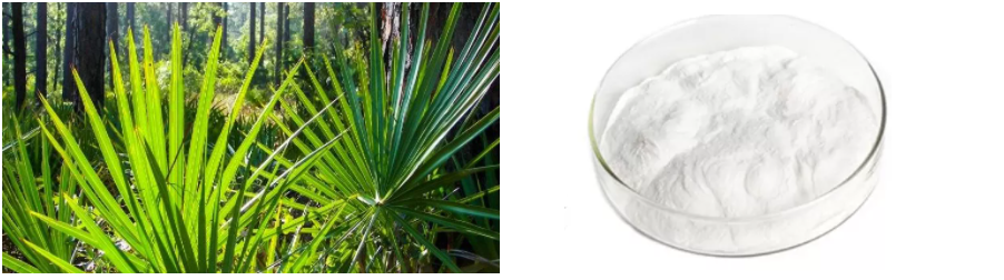 Saw palmetto extract