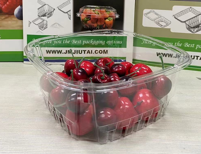 Recyclable Plastic Blueberry Tray, High Quality Recyclable Plastic Blueberry Tray on