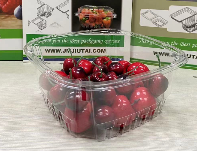 Transparent Plastic Fruit Container Without Lid