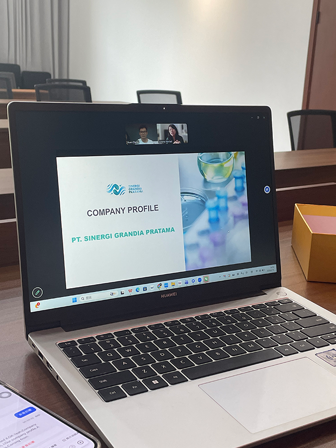 Client Consultation