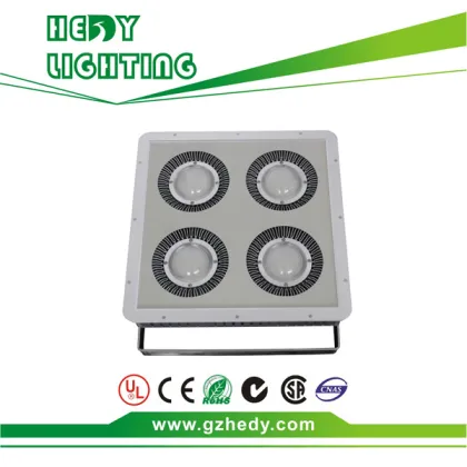 Professional LED 400W Soccer Field lights Of LED Floodlight