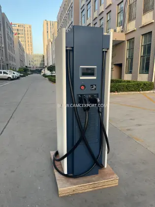 Dual - Gun DC EV Charging Pile