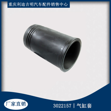 4VBE34RW3 G50 K50 Diesel Engine Liner 3022157