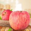Apple med söt och saftig frukt