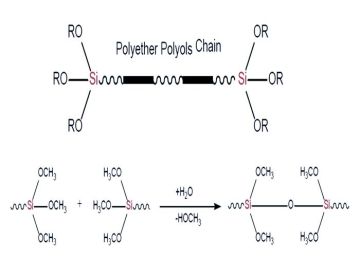 Silane terminated polyether