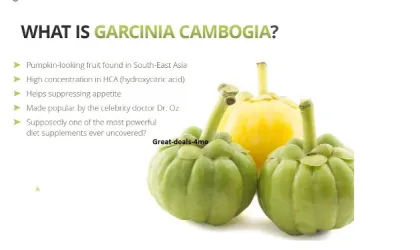 Herbal Extrac Weight Loss Garcinia Cambogia Extract Powder