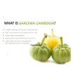 best lose weight product garcinia cambogia powder