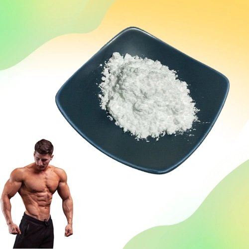 China Nutrisi Sukan Pure 200 Mesh Creatine Monohydrate Powder Manufacturers