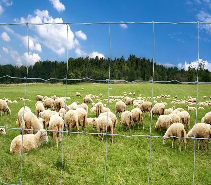 Clôture à nœuds fixes à haute tension / clôture de champ / clôture de mouton / clôture de bétail