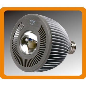 LED PAR30 Spot Light-15W-Citizen Chip