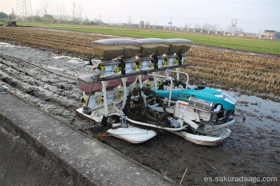 máquina de siembra directa de plántulas de arroz de alta calidad