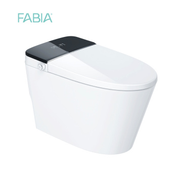 Pantalla de pantalla LCD Smart Bidet Bidet Watilth