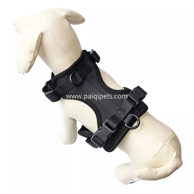 How to put a dog leash chest harness?