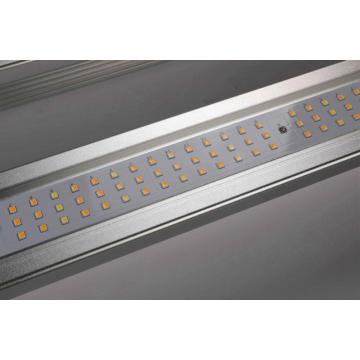 Luz de crecimiento LED de espectro completo regulable