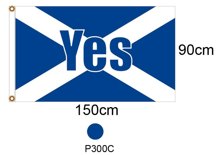 Scottish referendum Flag