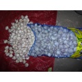 High Quality Normal White Garlic Size 4.5cm