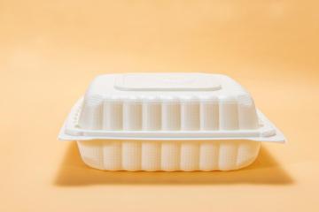 9" Disposable PP Plastic White food container