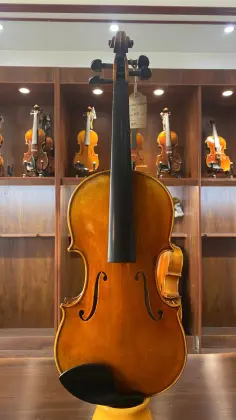 Aged Selected Spruce and Maple Guaneri Handmade violin for Orchestra