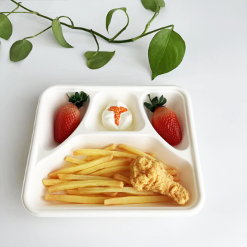 4 compartment container Bagasse packing MultipleTray