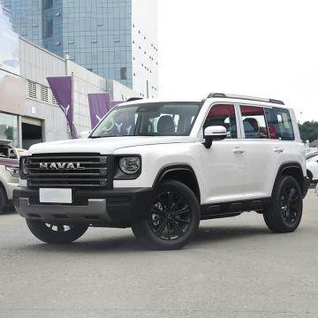 Haval Menglong Raptors 2024 HI4 102 Pro