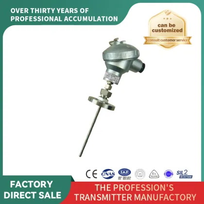 Adjustable E-grading Flange Mount Temp Probe
