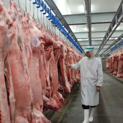 Large Logistics Cold Storage for Vegetable Cold Chain Warehouse