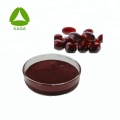 Haematococcus pluvialis extract astaxanthin