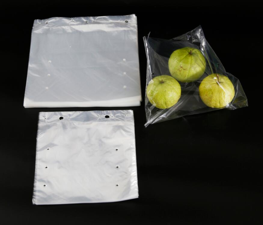 Transparent LDPE Saddle Bag