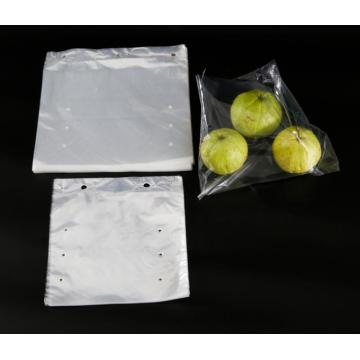 Transparent LDPE Saddle Bag