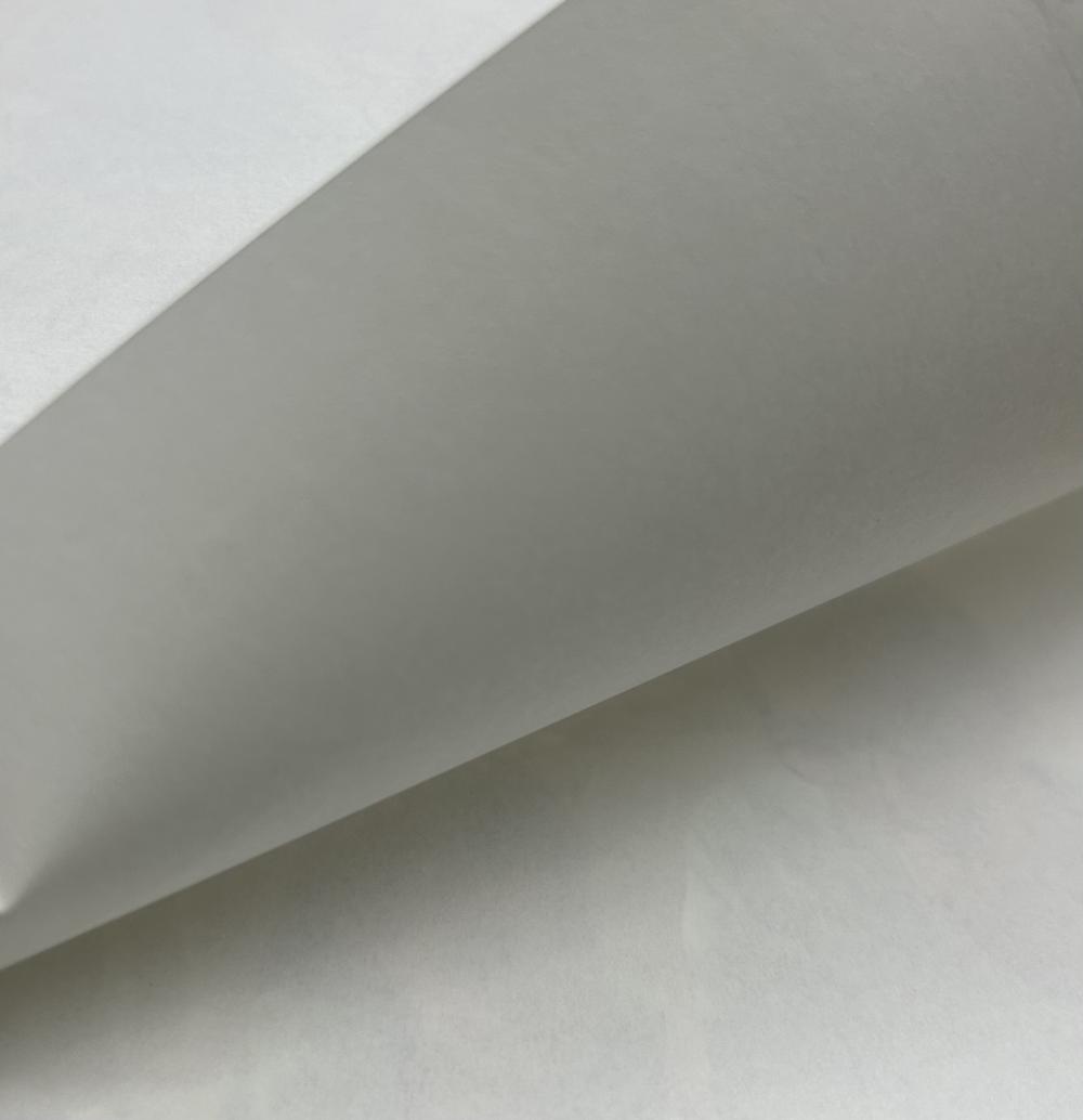 XT 65 GSM Paper de décalage blanc / crème