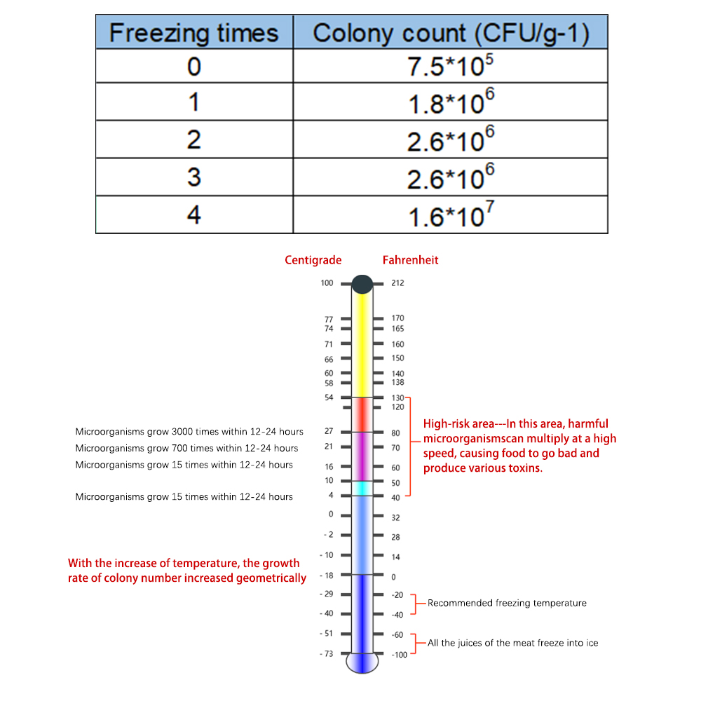 Freezing Doesn T Kill Bacteria