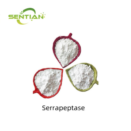 Adenosylcobalamin B12 Powder Supplement
