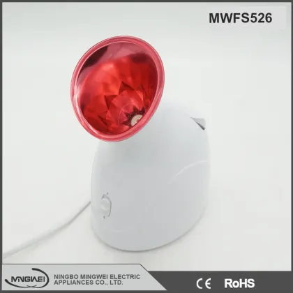 Beauty equipment China supplier household Nano facial steamer