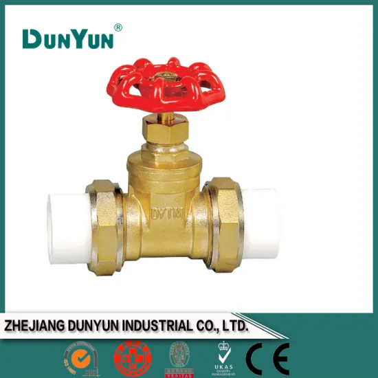 The latest saling China supplier PPR gate valve
