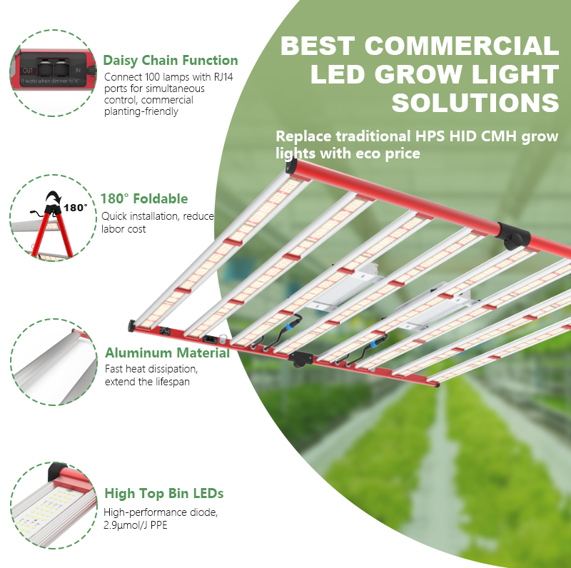 Aglex New 800W Hydroponic Samsung LM301H untuk indoor