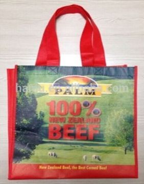 Large Size Non-woven Shopping Bag