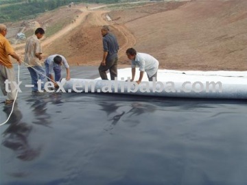 Composite Geomembrane