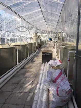 Indoor Recirculating Aquaculture System (RAS) Equipment for Grouper Fish Farming
