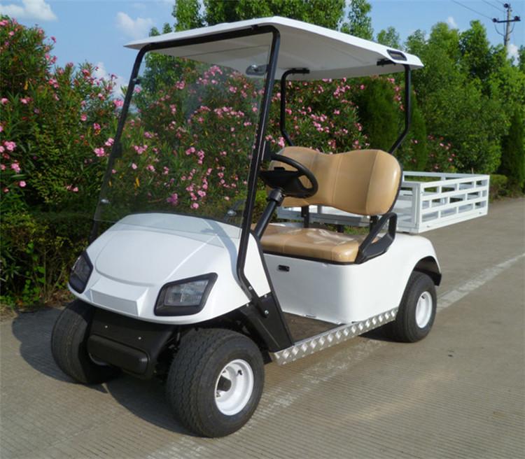 Electric Utility Golf Cart