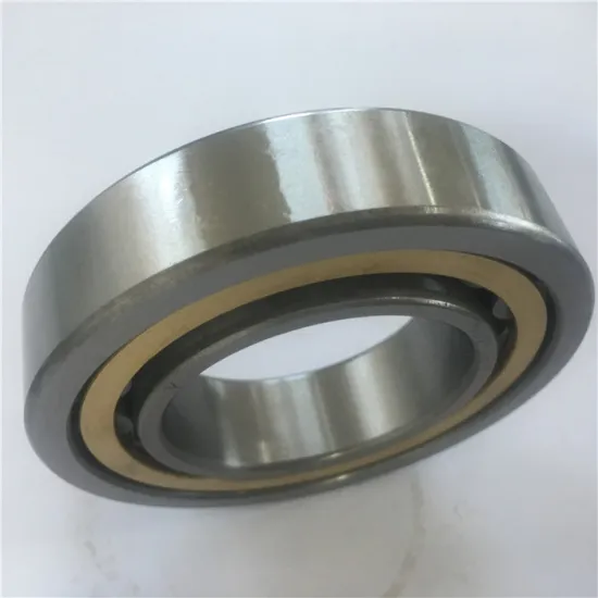 N2236 rollway bearings & N2236 stainless steel cylinder bearings