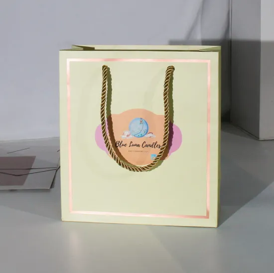 Custom Luxury Ribbon Handle Cardboard Shopping & Gift Packaging Bags with Logo