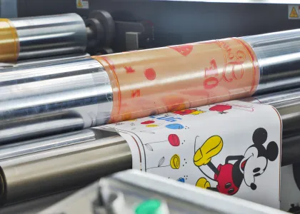 Zhek Automatic High Speed Flexographic Printers: Label Flexo Printing Machine and Paper Flexographic Printing Solutions
