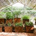 Corten Steel Simple Garden Pots Planteurs