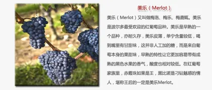 Chateau Bacchus 2011 Class A Merlot Dry red wine