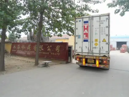 Fresh Garlic to Sri lanka