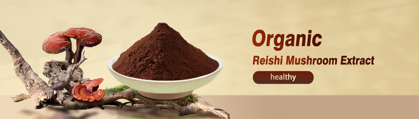 Reishi Mushroom Extract